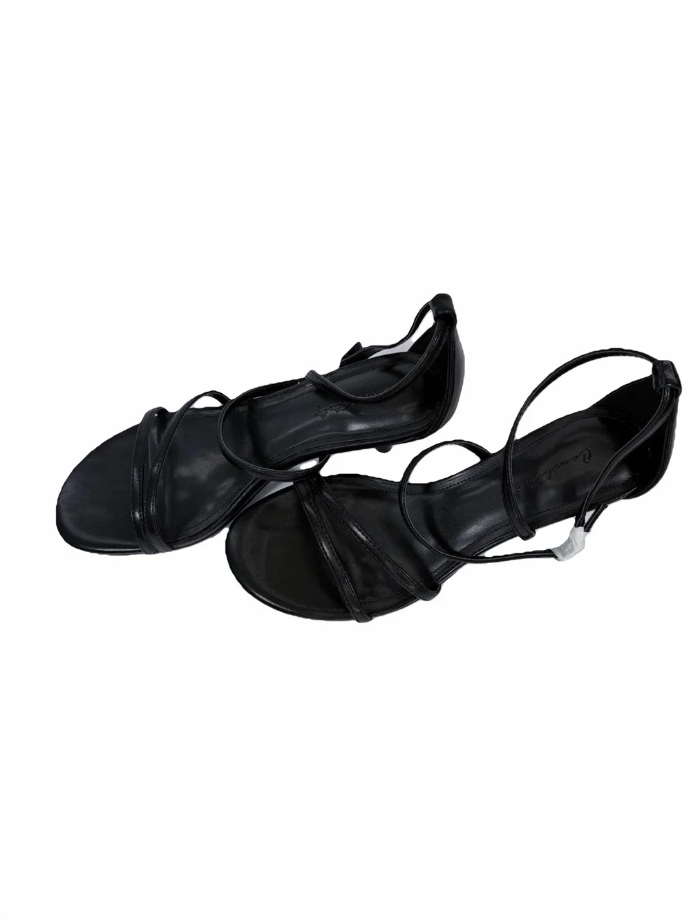 Conchitaty nwt kitten